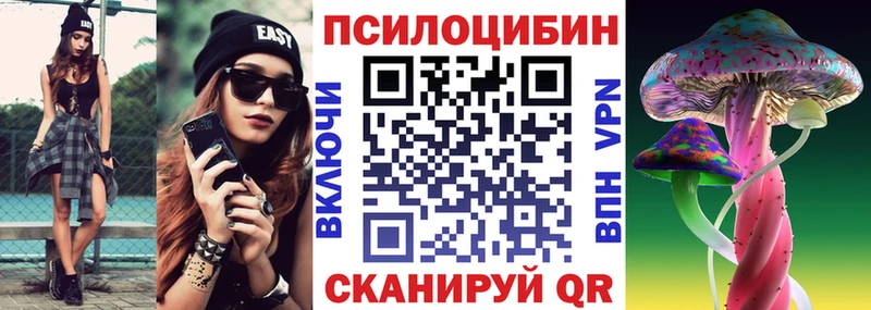Псилоцибиновые грибы Psilocybine cubensis  как найти закладки  Великий Устюг 
