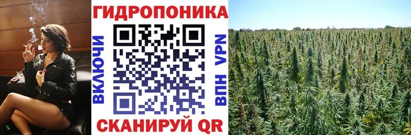 Шишки марихуана план  Великий Устюг 